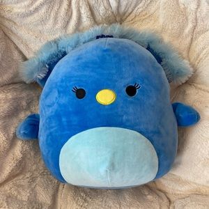 Peacock Squishmallow